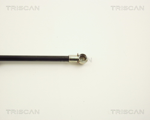 TRISCAN 8710 1010 Gasfjäder, bagageutrymme