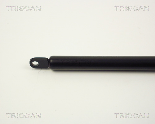 TRISCAN 8710 1011 Gasfeder, Motorhaube
