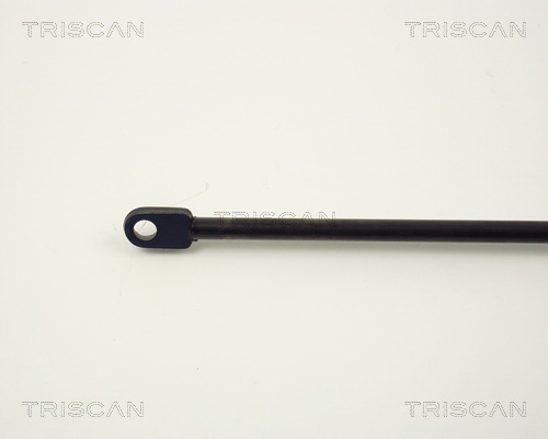 TRISCAN 8710 1011 Gasfeder, Motorhaube