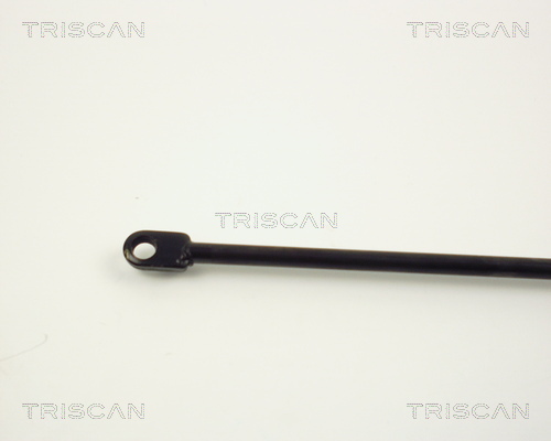 TRISCAN 8710 1012 Gasfeder, Motorhaube