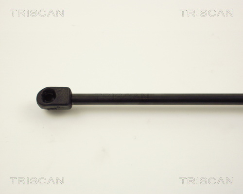 TRISCAN 8710 10200 Gasfjäder, bagageutrymme