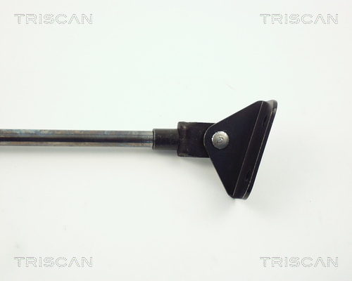 TRISCAN 8710 10202 Gasfjäder, bagageutrymme