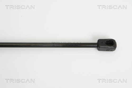 TRISCAN 8710 10206 Gasfjäder, bagageutrymme