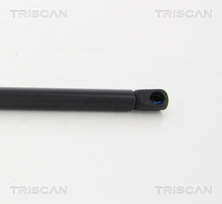 TRISCAN 8710 10211 Gasfjäder, bagageutrymme