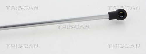 TRISCAN 8710 10214 Gasfeder, Heckscheibe