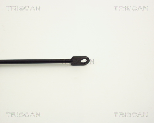 TRISCAN 8710 1101 Gasfeder, Motorhaube