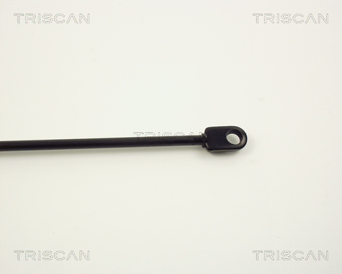 TRISCAN 8710 1102 Gasfeder, Motorhaube
