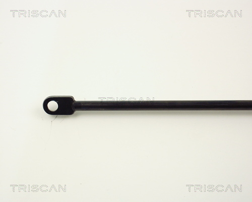 TRISCAN 8710 1108 Gasfeder, Motorhaube