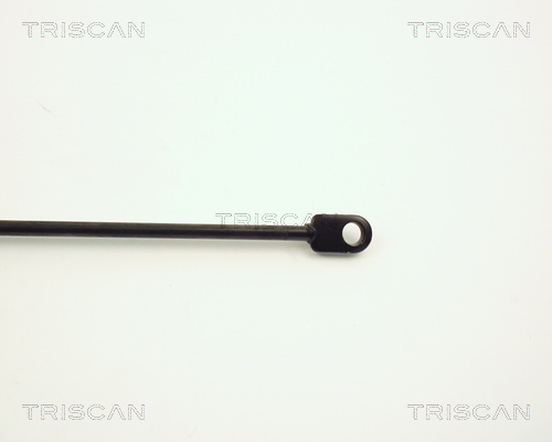 TRISCAN 8710 11101 Gasfeder, Motorhaube