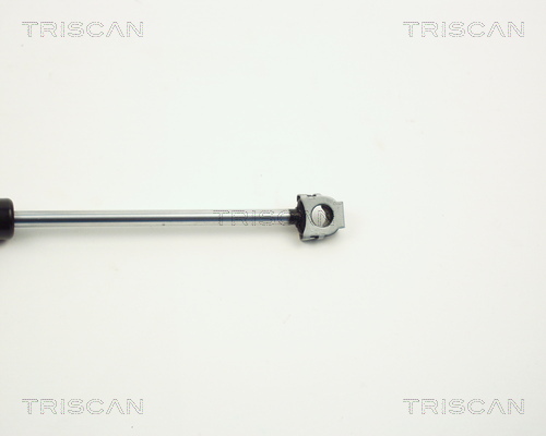 TRISCAN 8710 11102 Gasfeder, Motorhaube