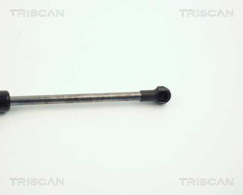 TRISCAN 8710 11104 Gasfeder, Motorhaube