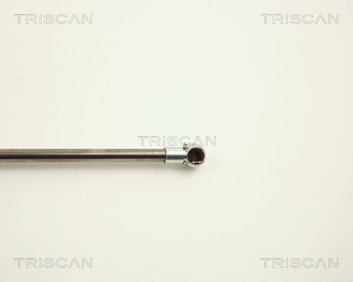 TRISCAN 8710 11106 Gasfeder, Motorhaube