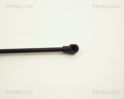 TRISCAN 8710 11107 Gasfeder, Motorhaube