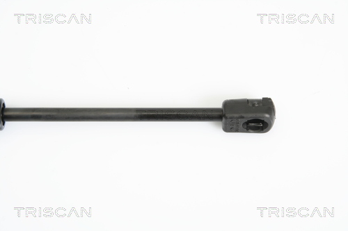 TRISCAN 8710 11108 Gasfeder, Motorhaube