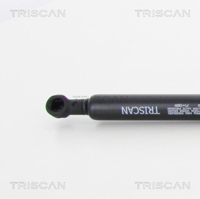 TRISCAN 8710 11120 Gasfeder, Motorhaube