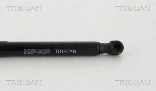 TRISCAN 8710 11128 Gasfeder, Motorhaube