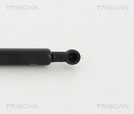 TRISCAN 8710 11131 Gasfeder, Motorhaube