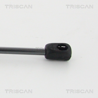 TRISCAN 8710 11132 Gasfeder, Motorhaube