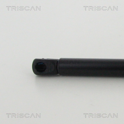 TRISCAN 8710 11134 Gasfeder, Motorhaube