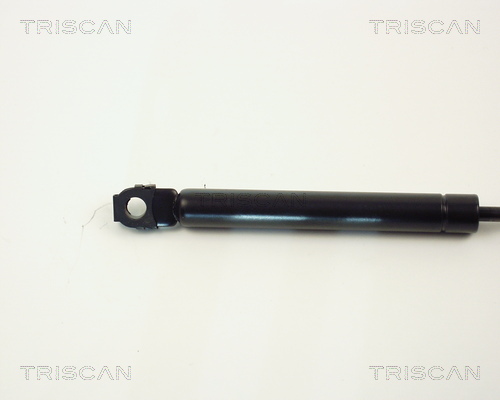 TRISCAN 8710 1113 Gasfeder, Motorhaube
