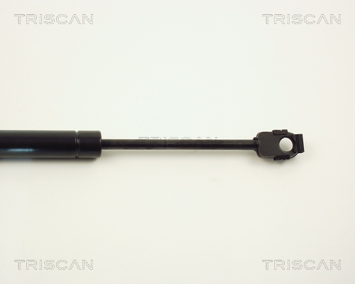 TRISCAN 8710 1113 Gasfeder, Motorhaube