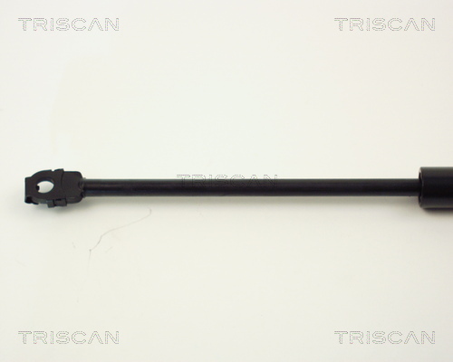 TRISCAN 8710 1114 Gasfjäder, bagageutrymme