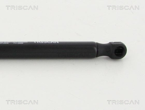 TRISCAN 8710 112010 Gasfjäder, bagageutrymme
