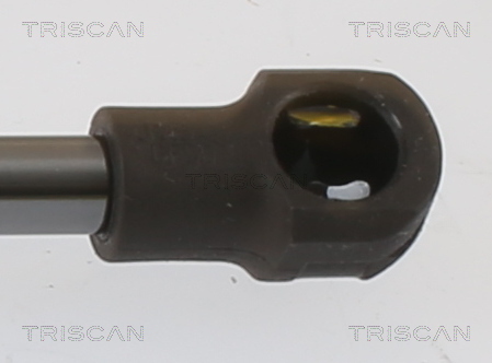 TRISCAN 8710 112017 Gasfjäder, bagageutrymme