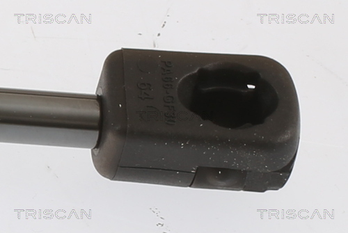 TRISCAN 8710 112019 Gasfjäder, bagageutrymme