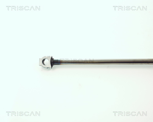 TRISCAN 8710 11202 Gasfjäder, bagageutrymme