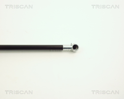 TRISCAN 8710 11206 Gasfjäder, bagageutrymme