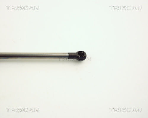 TRISCAN 8710 11209 Gasfjäder, bagageutrymme
