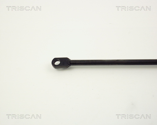 TRISCAN 8710 11210 Gasfjäder, bagageutrymme