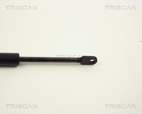 TRISCAN 8710 11217 Gasfeder, Heckscheibe