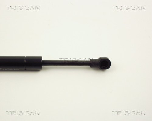 TRISCAN 8710 11219 Gasfjäder, bagageutrymme
