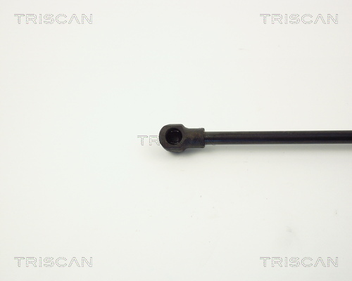TRISCAN 8710 11220 Gasfjäder, bagageutrymme
