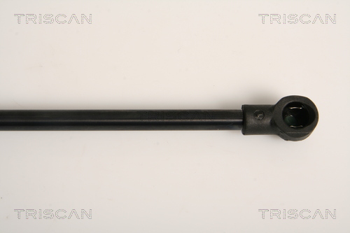 TRISCAN 8710 11230 Gasfjäder, bagageutrymme