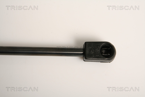 TRISCAN 8710 11232 Gasfjäder, bagageutrymme