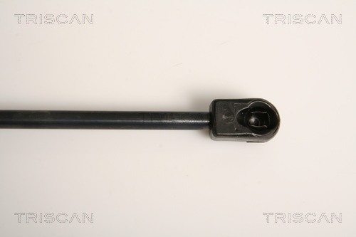 TRISCAN 8710 11234 Gasfjäder, bagageutrymme