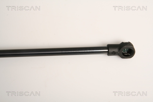TRISCAN 8710 11235 Gasfjäder, bagageutrymme