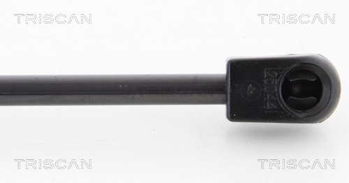 TRISCAN 8710 11238 Gasfjäder, bagageutrymme