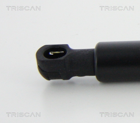 TRISCAN 8710 11240 Gasfjäder, bagageutrymme