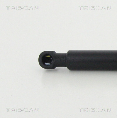 TRISCAN 8710 11241 Gasfjäder, bagageutrymme