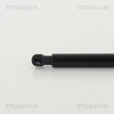 TRISCAN 8710 11242 Gasfjäder, bagageutrymme