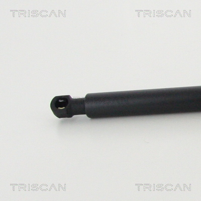 TRISCAN 8710 11244 Gasfjäder, bagageutrymme