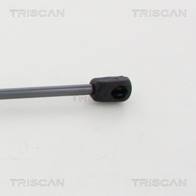 TRISCAN 8710 11247 Gasfjäder, bagageutrymme