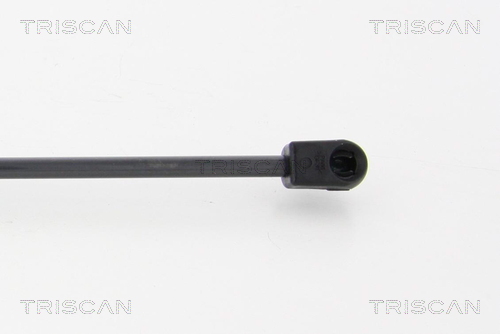 TRISCAN 8710 11293 Gasfjäder, bagageutrymme
