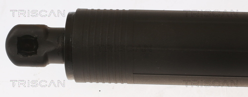 TRISCAN 8710 11307 Gasfjäder, bagageutrymme