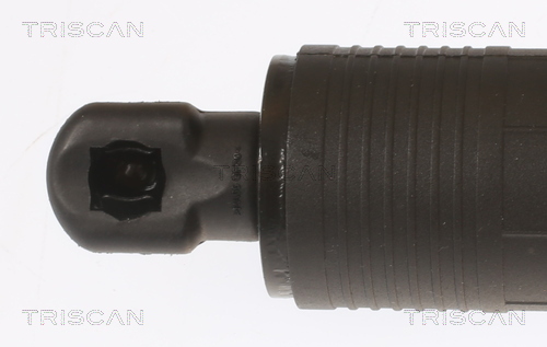 TRISCAN 8710 11308 Gasfjäder, bagageutrymme