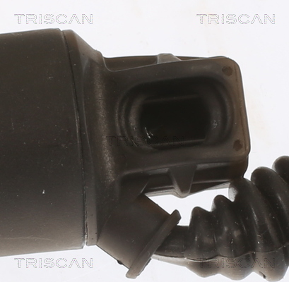 TRISCAN 8710 11311 Gasfjäder, bagageutrymme